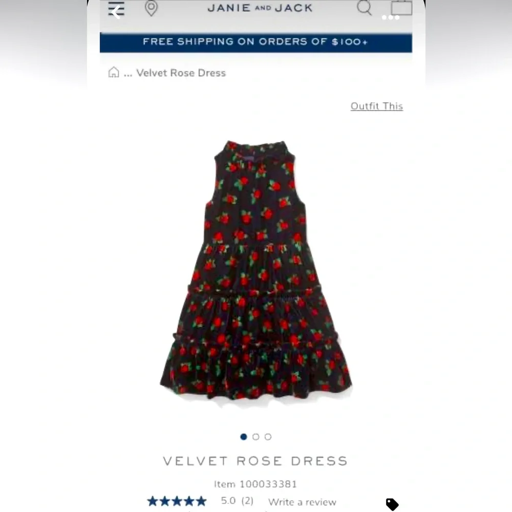 JANIE and JACK Gorgeous Velvet Rose Dress Special Occasion Party Festive Photos - Picture 2 of 4